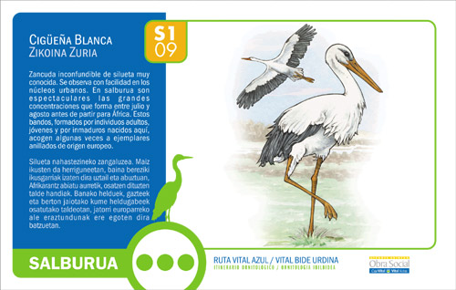 Ruta vital azul 09