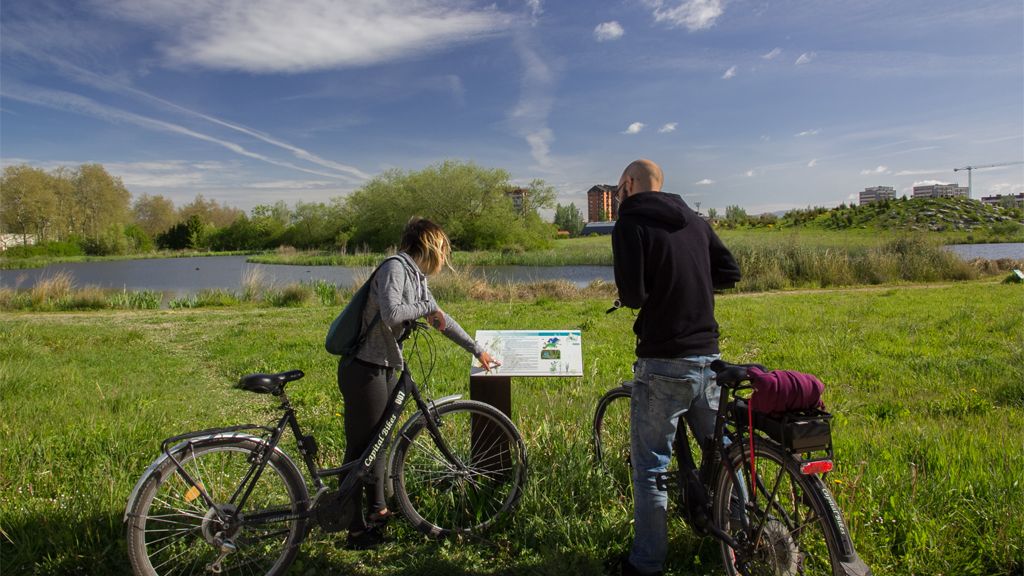 Ruta en bici por el anillo verde