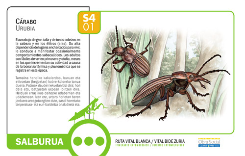 Ruta vital blanca 01