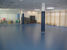 Gimnasio del Pol. Abetxuko